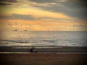 Horses passing on the beach as the sun sets