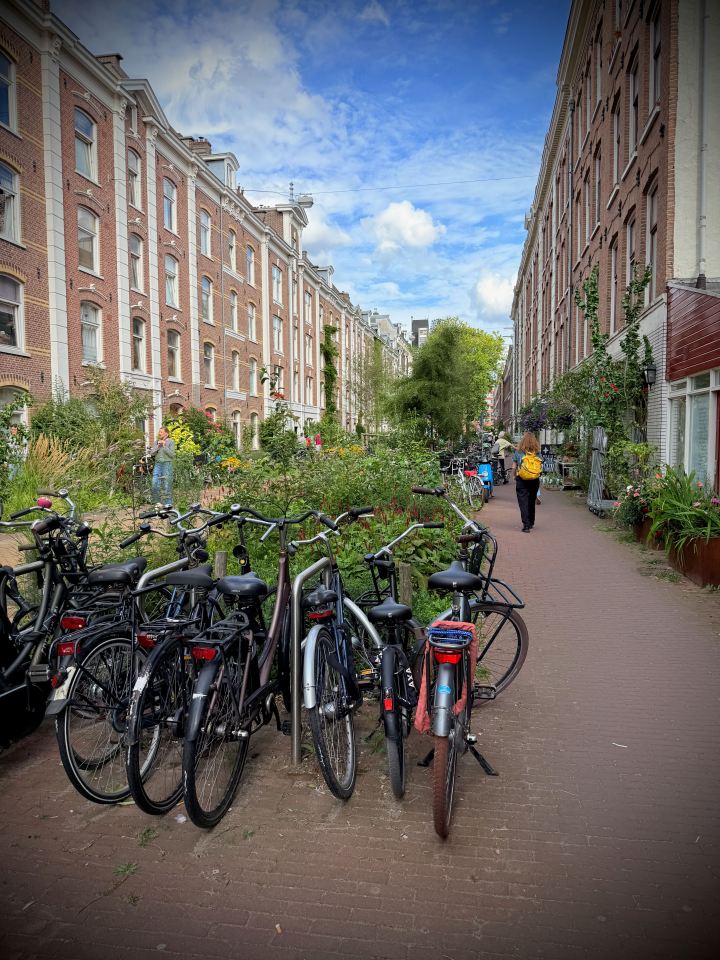 Eerste Jacob van Campenstraat in De Pijp after the removal of on-street parking