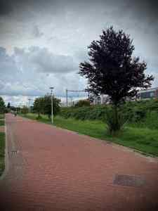 Train passing on Anne de Vriessingel