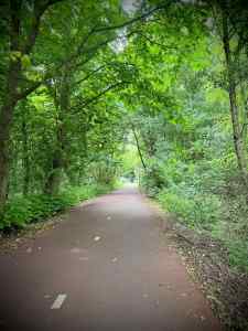 Cycle path next to Bovendijk