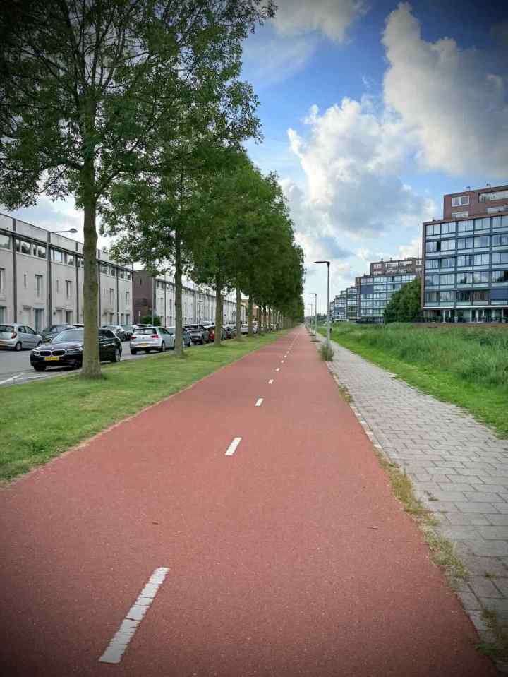 Libelsingel