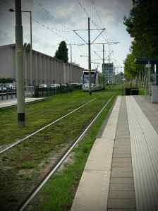Tram on grassed tracks