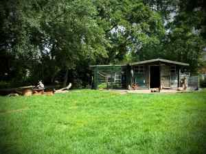 Goats at the little farm on Weidepad