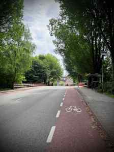 Painted lanes on Bellesteynlaan