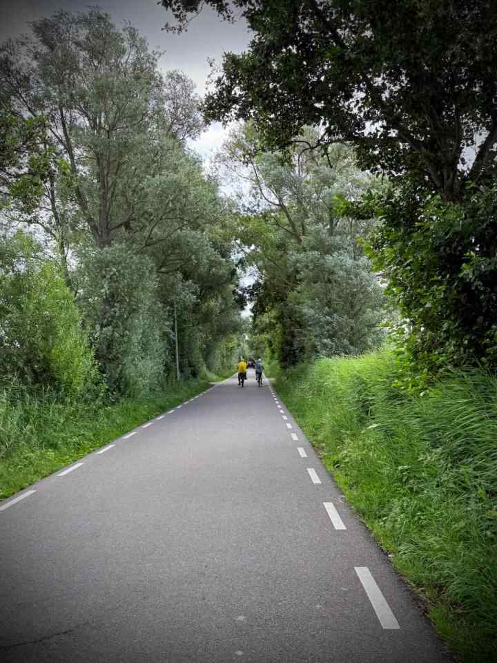 Hogeboomseweg