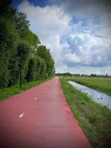 Concrete path on Oude Trambaan