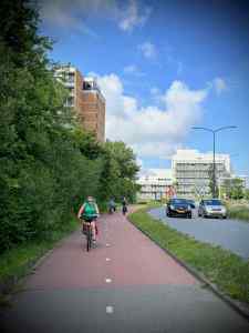Cycle path on Plesmanlaan