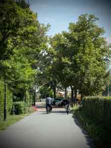 Riding along Papeweg, next to the N448