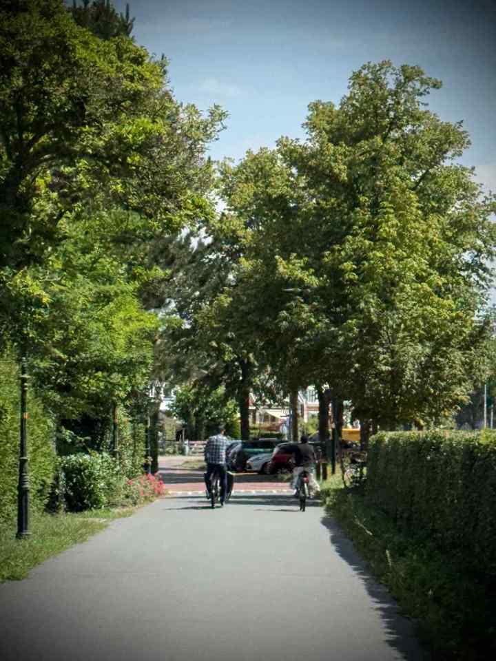 Riding along Papeweg, next to the N448