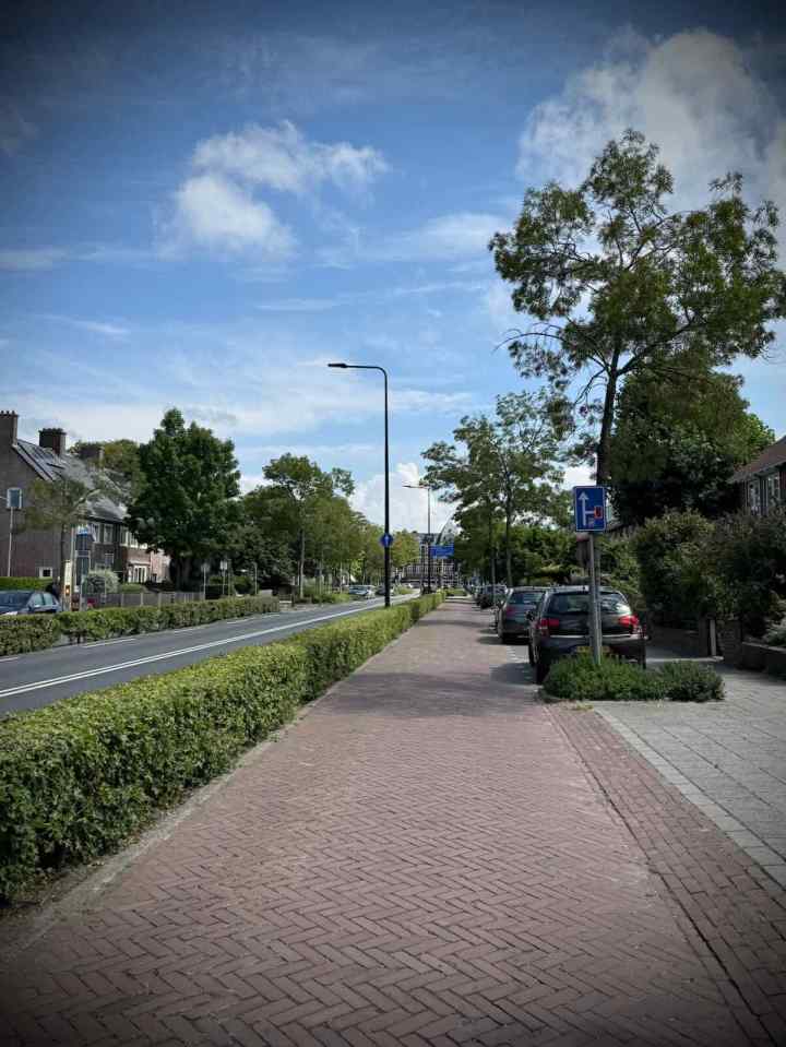 Local access road on Wijngaardenlaan