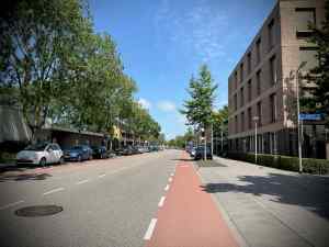 Painted lane on Professor Einsteinlaan