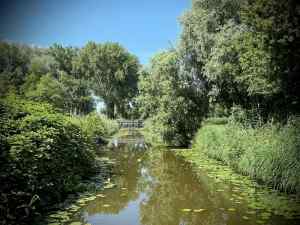 Looking along Vinkesloot