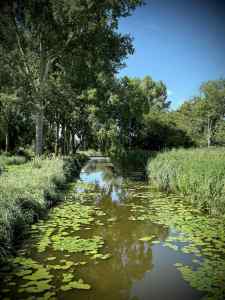 Looking along Vinkesloot