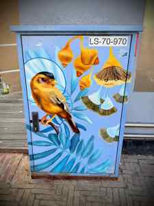 Bird on the Markt by Nina Valkhof