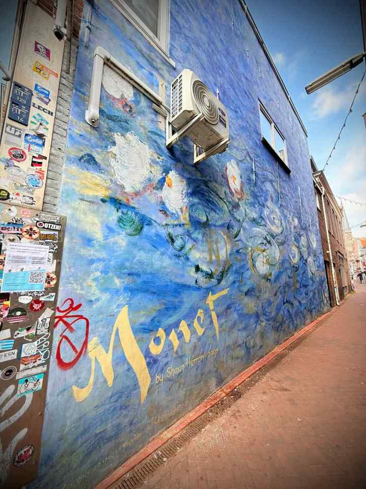 Delft Water Lilies by Shaun Herron