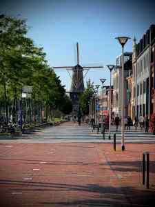 On Phoenixstraat, looking towards Molen de Roos