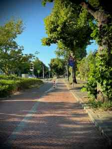 Modal filter on Prins Bernhardlaan