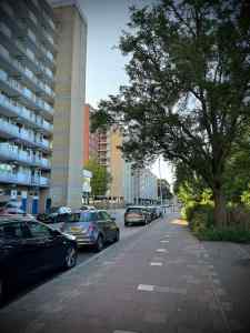 Paved cycle path on Spinozalaan