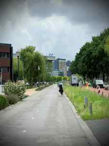 Riding along Zernikedreef