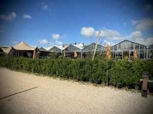 Brasserie Buitenhuis