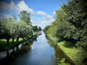 On Bellesteynlaan, looking along the Zijwatering Canal