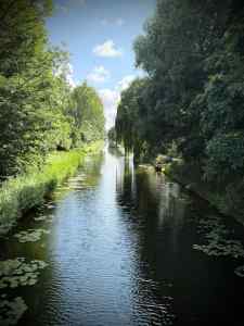 On Bellesteynlaan, looking along the Zijwatering Canal