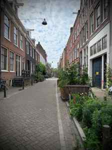 Planting on Eerste Weteringdwarsstraat