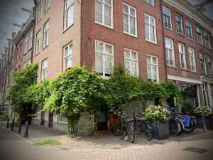 Greenery on building on Weteringstraat