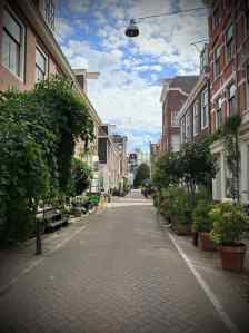 Greenery and planting on Weteringstraat