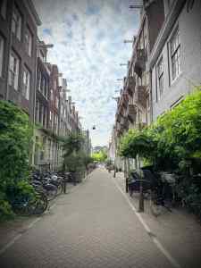 Greenery and bikes parked on Tweede Weteringdwarsstraat