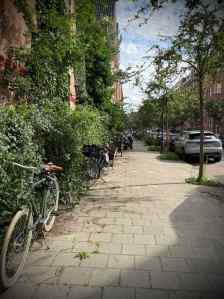 Pieter de Hoochstraat