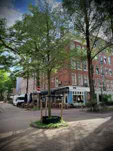Mini roundabout on corner of Frans Halsstraat and Daniël Stalpertstraat