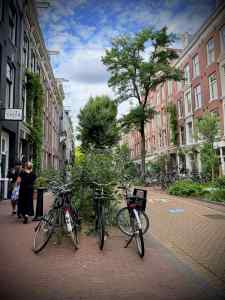 Bikes parked on Frans Halsstraat
