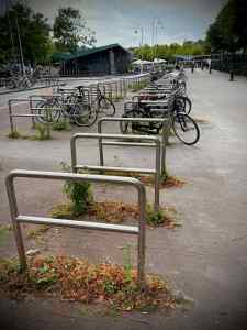 Cycle parking on Hobbemastraat, near Museumplein