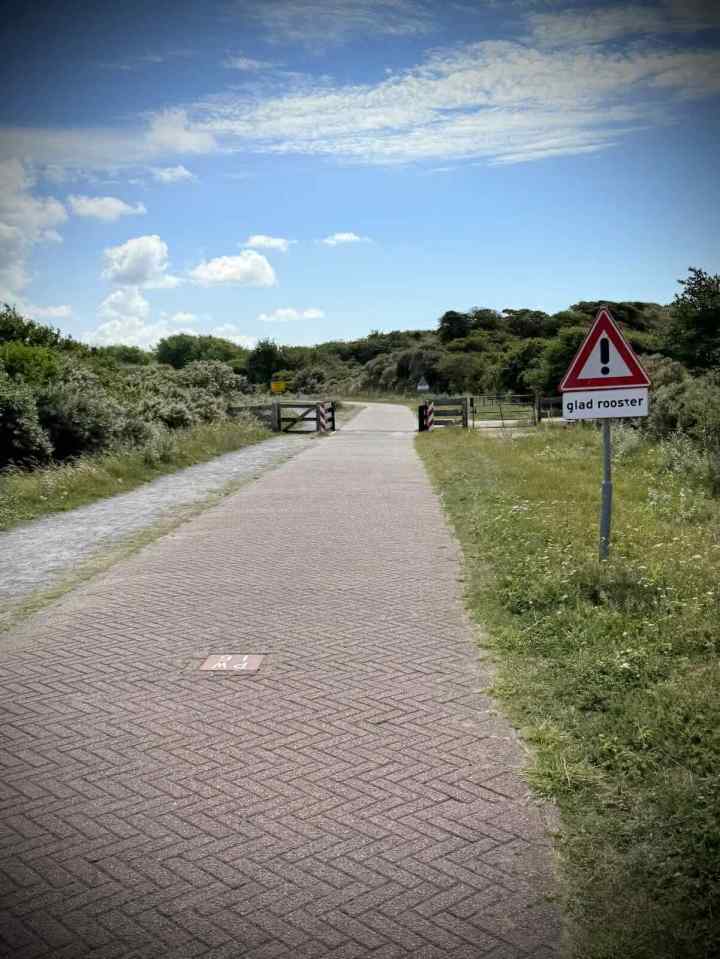 Glad rooster, still my favourite sign!