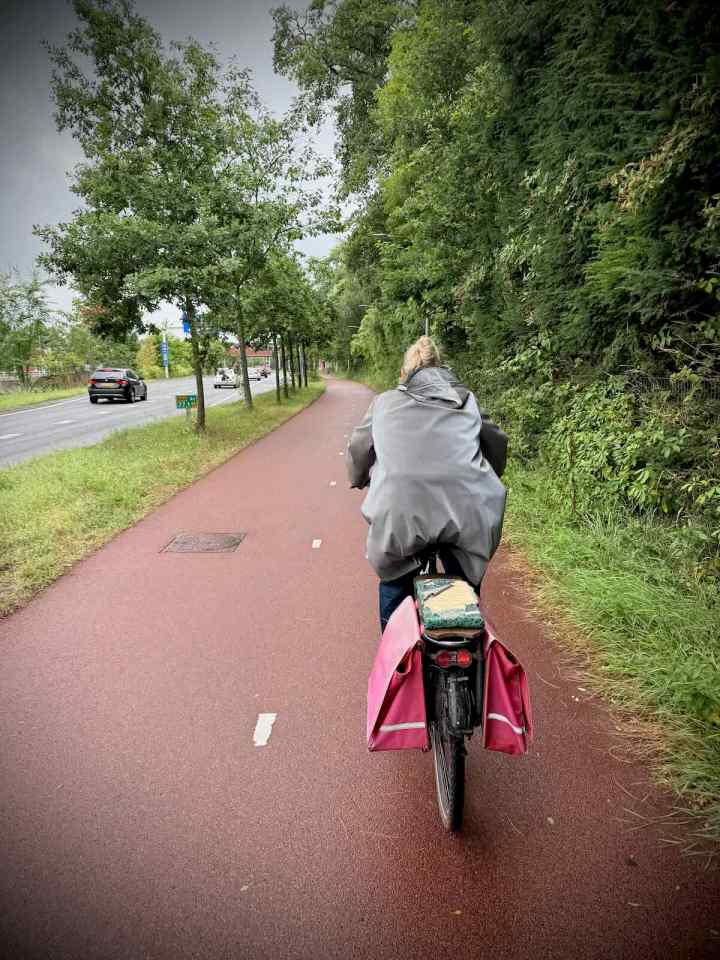 On the path next to the N44