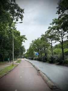 Cycle path on Bezuidenhoutseweg
