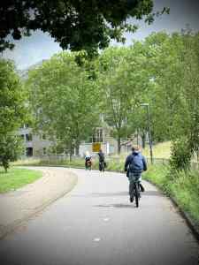 Cycle path next to N206 Doctor Lelylaan