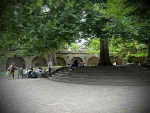 Inside Burcht van Leiden