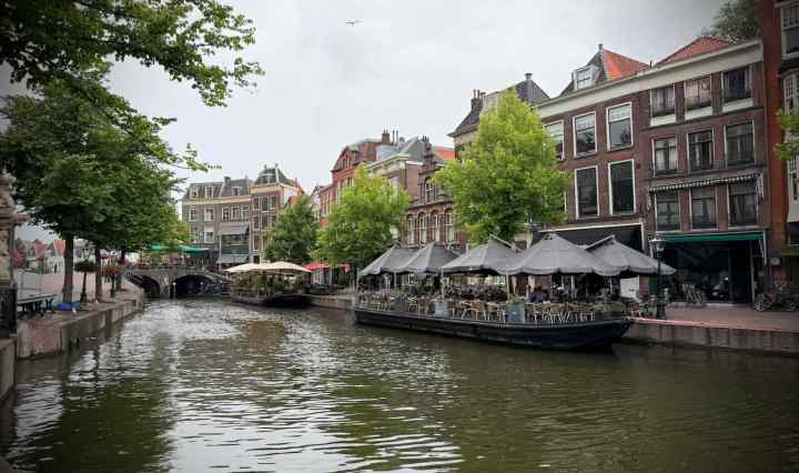 Looking across Nieuwe Rijn