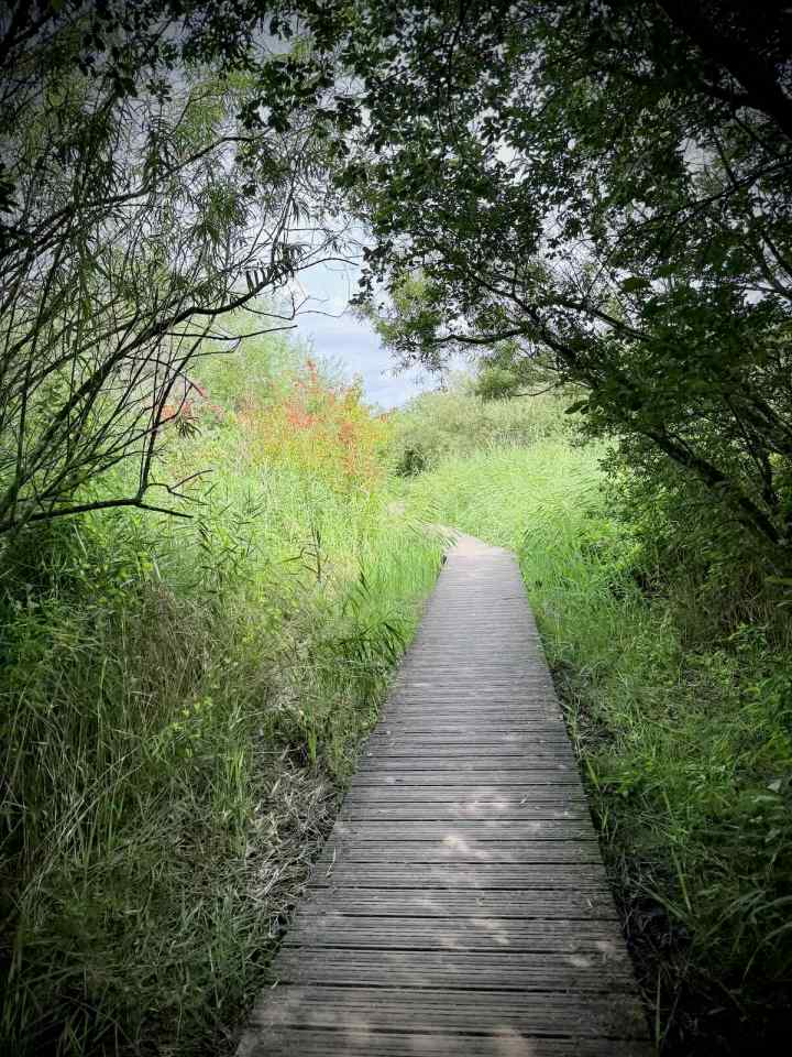 The path to the Tij Observatory