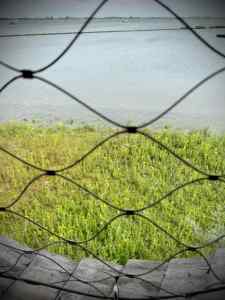 Looking out from one of the lookout points