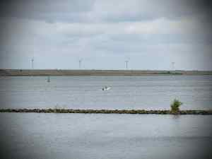 Looking out towards Haringvlietdam