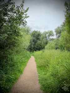 Path out of the Tij Observatory