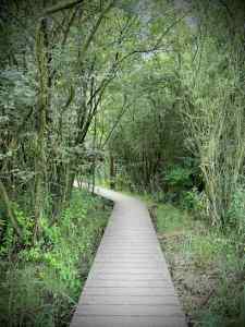 Path out of the Tij Observatory