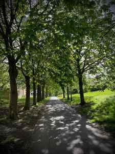 Redway parallel to H6 Childs Way