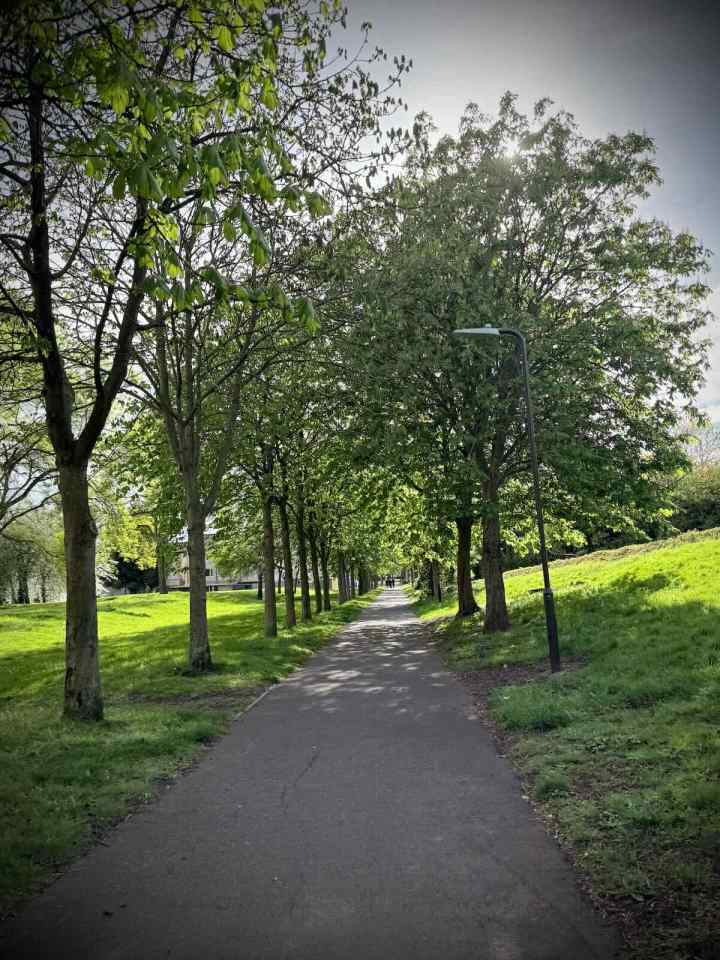 Redway parallel to H6 Childs Way