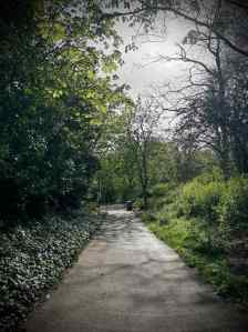 Redway parallel to H6 Childs Way