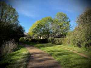 Redway passing round Lodge Lake