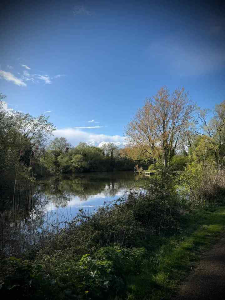 Lodge Lake